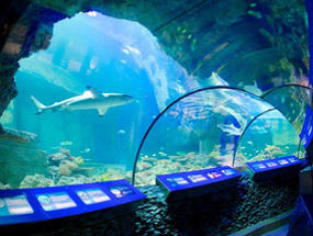 AQUARIUM SEA LIFE - Paris Val d'Europe