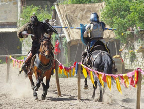 CITE MEDIEVALE DE PROVINS