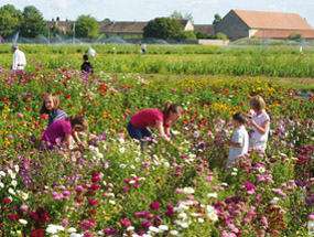 LA CUEILLETTE DU PLESSIS